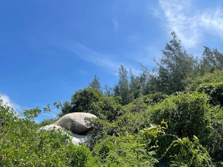 Khu dã ngoại Trung Lương