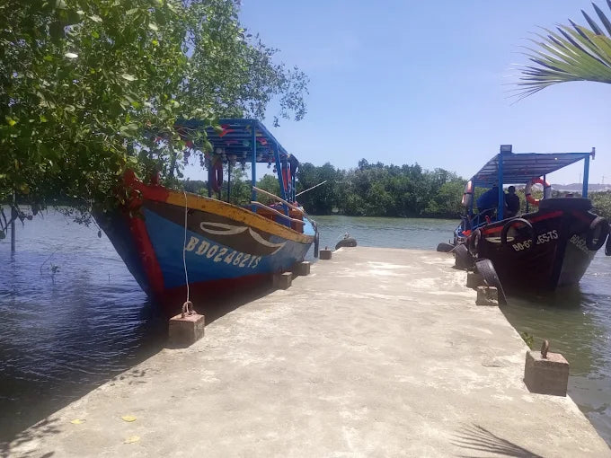 4. Ngoài Cồn Chim, quanh đây còn điểm tham quan nào khác?