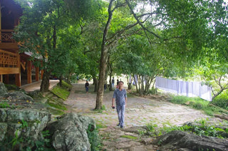 Khu du lịch sinh thái Hầm Hô