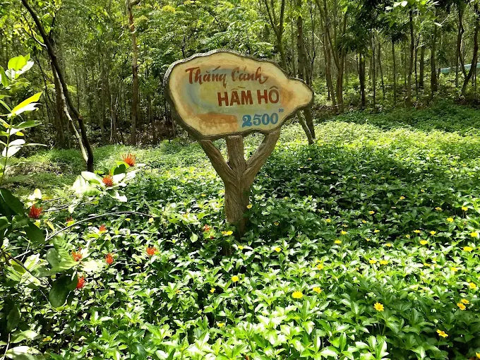 Khu du lịch sinh thái Hầm Hô