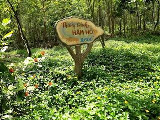 Khu du lịch sinh thái Hầm Hô