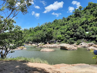2. Tôi có thể tự mang đồ ăn vào để picnic không?