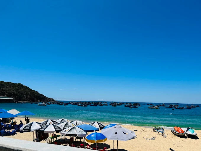 Vị Trí Địa Lý Làng chài Nhơn Lý, Bình Định Cũ, Gia Lai Mới