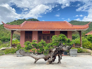 Linh Phong Thiền Tự - Chùa Ông Núi