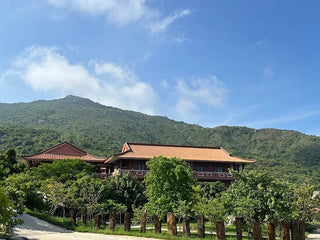 Lịch Sử Linh Phong Thiền Tự - Chùa Ông Núi, Bình Định Cũ, Gia Lai Mới
