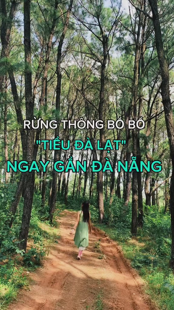 Rừng Thông Bồ Bồ Quảng Nam Cũ ( Đà Nẵng Mới) Video Local trips (1)

