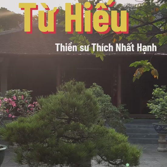 Chùa Từ Hiếu, Huế video Localtrips (1)