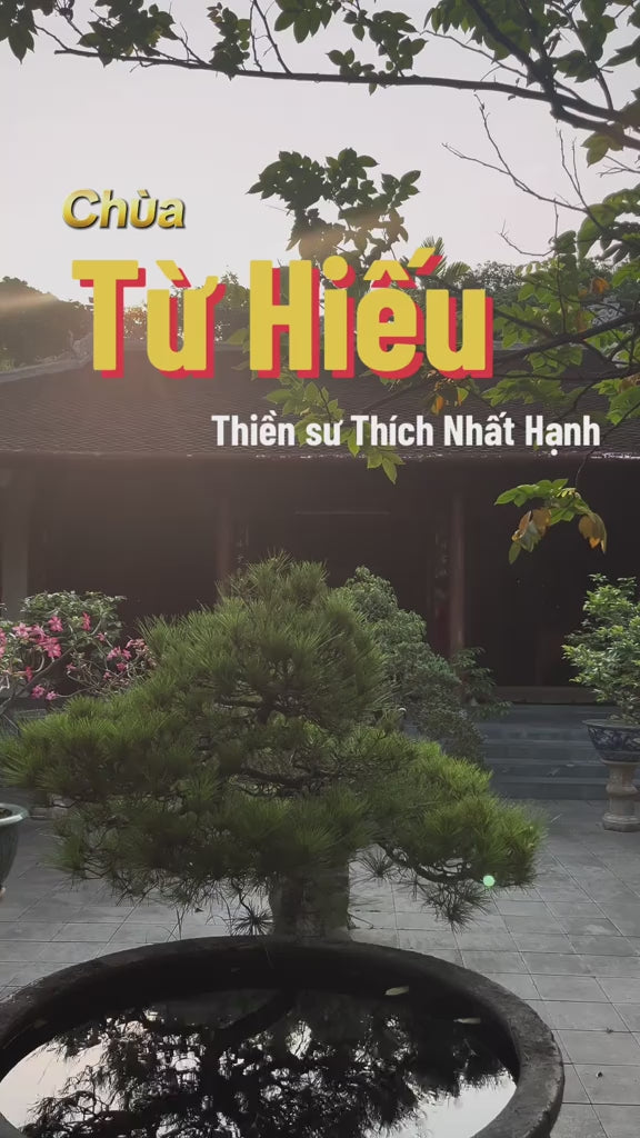 Chùa Từ Hiếu, Huế video Localtrips (1)