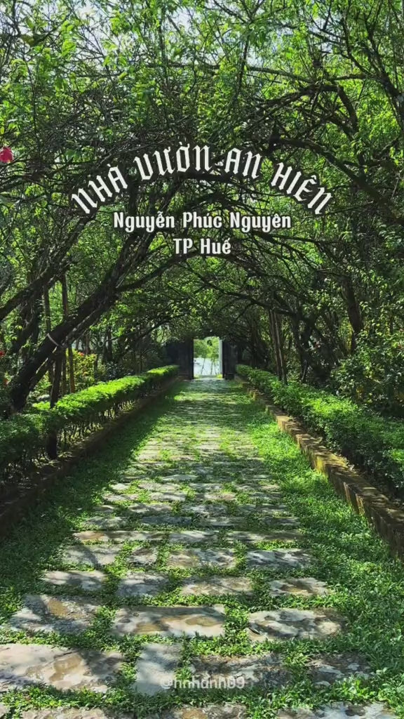 Nhà Vườn An Hiên, Huế Localtrips (1)

