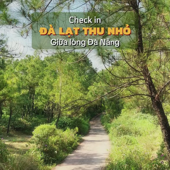 Rừng Thông Bồ Bồ Quảng Nam Cũ ( Đà Nẵng Mới) Video Local trips (3)

