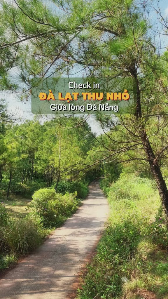Rừng Thông Bồ Bồ Quảng Nam Cũ ( Đà Nẵng Mới) Video Local trips (3)

