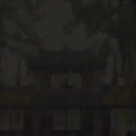 Chùa Diệu Đế Huế Localtrips video (2)