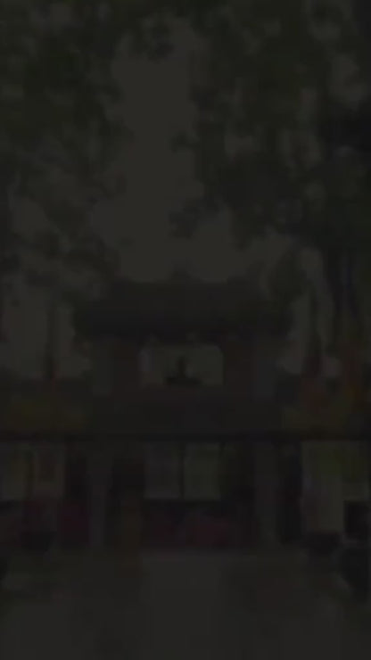 Chùa Diệu Đế Huế Localtrips video (2)