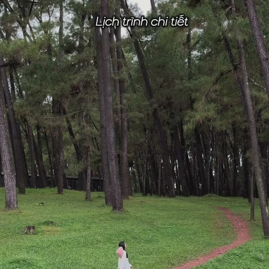 Du Lịch Huế Localtrips Video VN (2)

