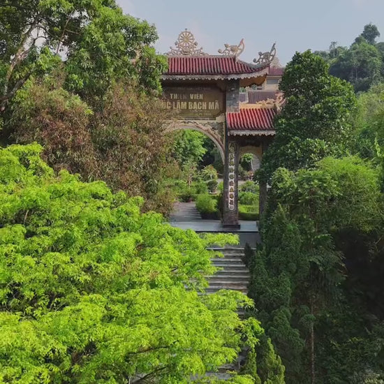 thiền viện trúc lâm bạch mã Huế Video local trips (1)

