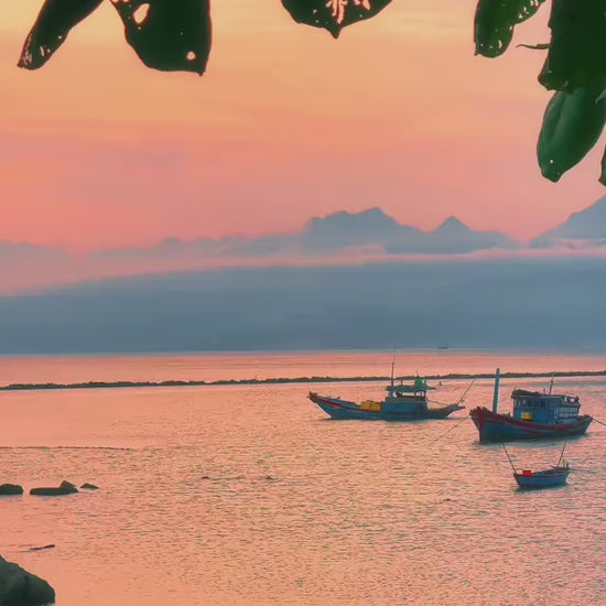 Cầu Thuận Phước Đà Nẵng Local Trips VN Video (1)

