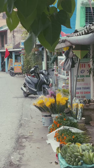Phố Cổ Bao Vinh Video Localtrips (1)


