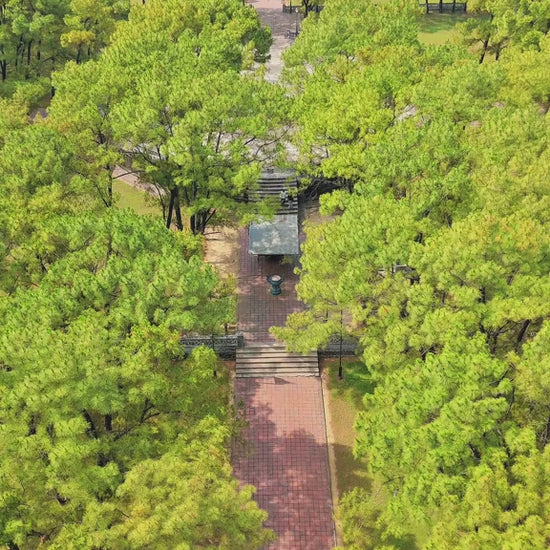 Đàn Nam Giao Local trips Video (1)

