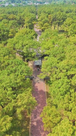 Đàn Nam Giao Local trips Video (1)

