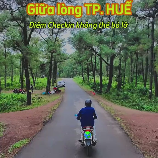 Đồi Thiên An Localtrips VN (1)

