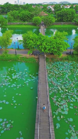 Hồ Tịnh Tâm Huế local trips video vn (2)

