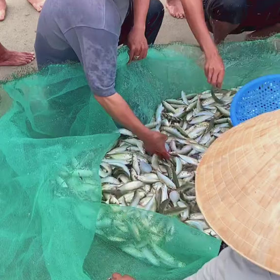 Bãi Cát Vàng Đà Nẵng Local Trips VN Video (2)

