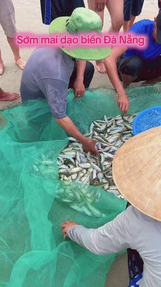 Bãi Cát Vàng Đà Nẵng Local Trips VN Video (2)

