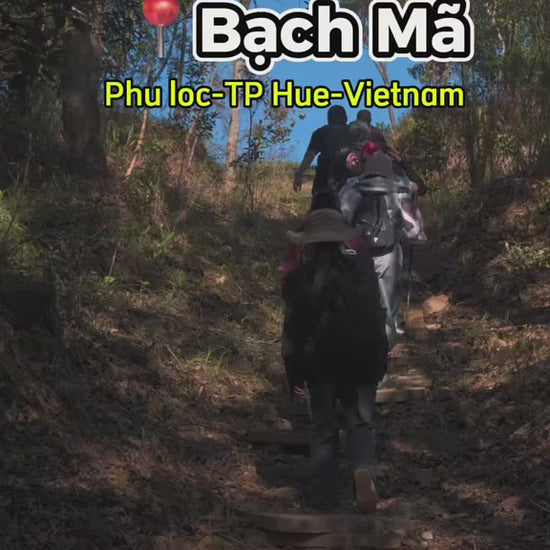 Vườn Quốc Gia Bạch Mã local trips video (2)

