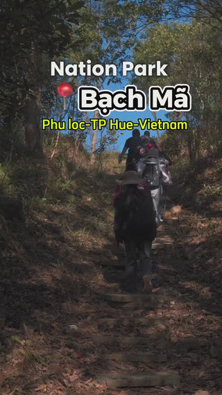 Vườn Quốc Gia Bạch Mã local trips video (2)

