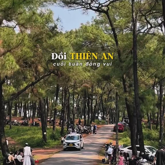 Đồi Thiên An Localtrips VN (3)

