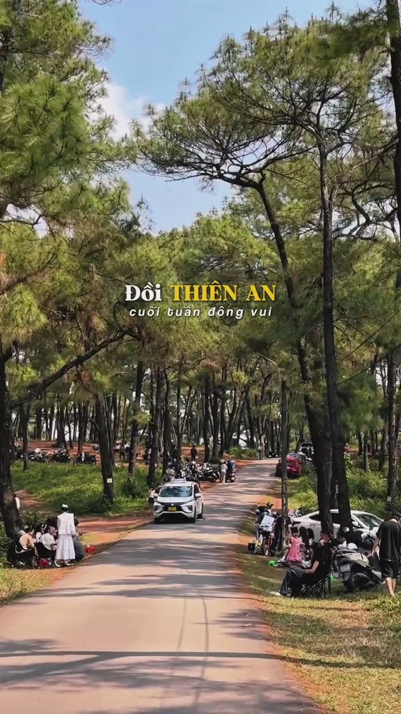 Đồi Thiên An Localtrips VN (3)


