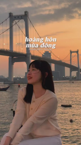 Cầu Thuận Phước Đà Nẵng Local Trips VN Video (2)


