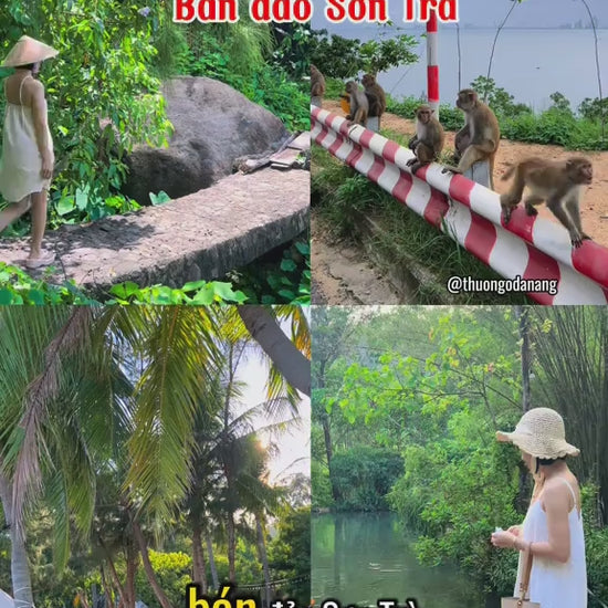 Bán Đảo Sơn Trà, Đà Nẵng Localtrips Video (1)


