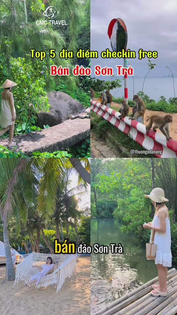 Bán Đảo Sơn Trà, Đà Nẵng Localtrips Video (1)

