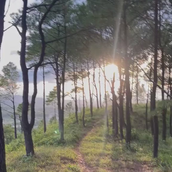 video núi ngự bình