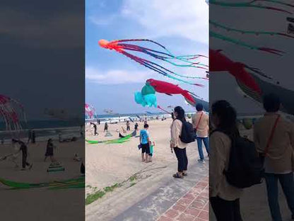 Công viên Biển Đông Đà Nẵng Video Local Trips VN 2

