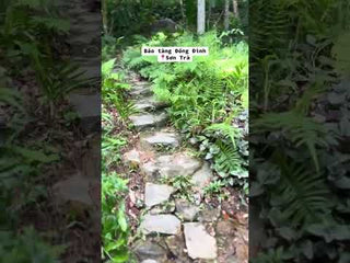 Bảo tàng Đồng Đình Đà Nẵng local Trips Video 2

