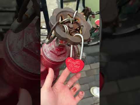 Cầu Tình Yêu Love Pier Localtrips VN Video 3

