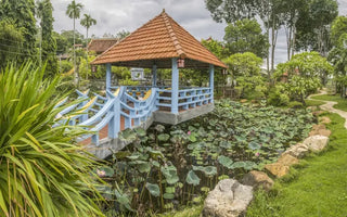 Ẩm Thực Tháp Chăm Dương Long, Bình Định Cũ, Gia Lai Mới