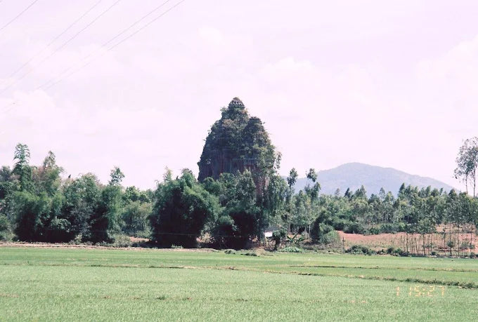 Tháp Chăm Dương Long