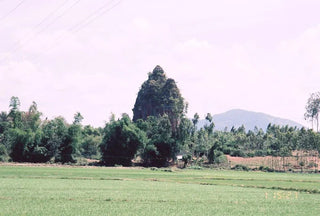 Tháp Chăm Dương Long
