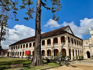 Localtrips.ORG chuyên cung cấp thông tin du lịch tại Tiểu chủng viện Làng Sông