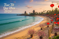 Tour Tết Quy Nhơn 2026