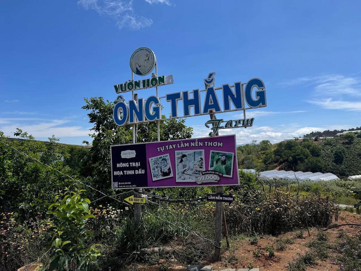 Vườn Hồng Đà Lạt