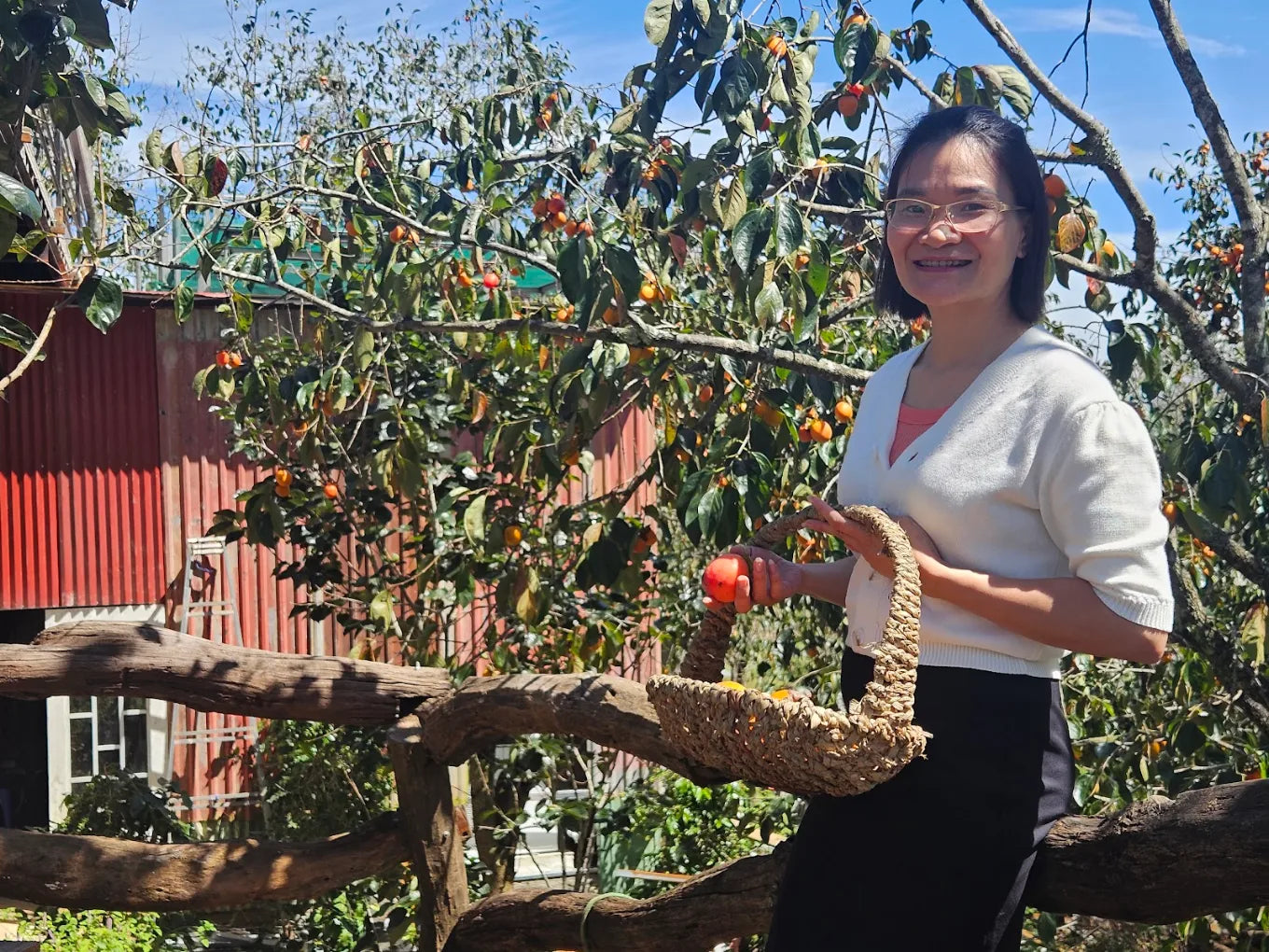 Vườn Hồng Đà Lạt: Khám Phá Mùa Quả Chín Vàng Và Trải Nghiệm Độc Đáo Giữa Mùa Thu Đông