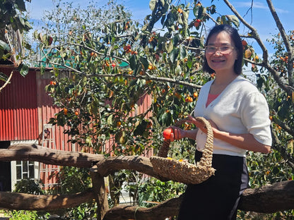 Vườn Hồng Đà Lạt: Khám Phá Mùa Quả Chín Vàng Và Trải Nghiệm Độc Đáo Giữa Mùa Thu Đông