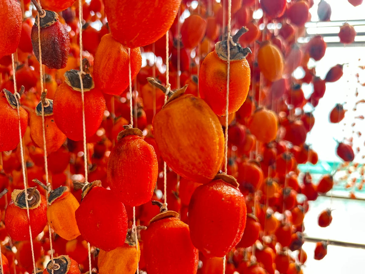 Bảng Thông Tin Điểm Đến Và Chi Phí Tham Khảo